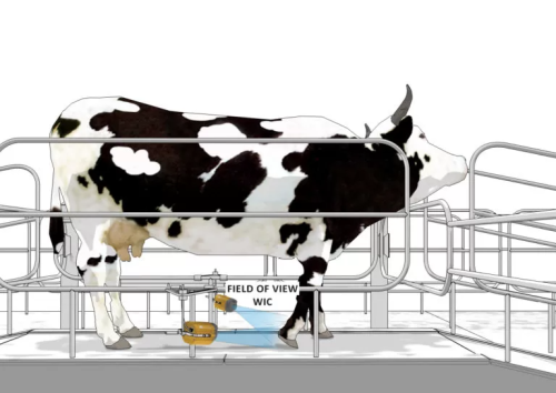 HOOF INSPECTOR - Contact-free hoof health monitoring - CISopto