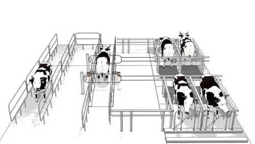 HOOF INSPECTOR - Contact-free hoof health monitoring - CISopto